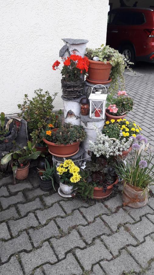 Sommerfrische Hinterhermsdorf Buitenkant foto